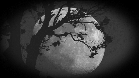 GOTH NIGHT MOON.gif