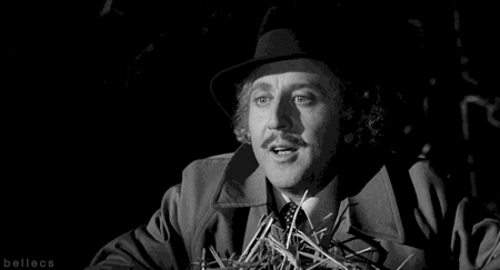 Young-Frankenstein-gif-young-frankenstei