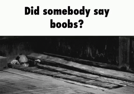 boobs01.gif