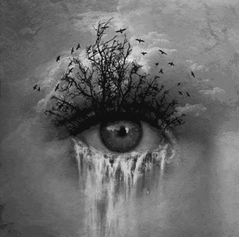 SOULFUL EYE.gif