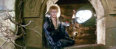 giphy (6).gif