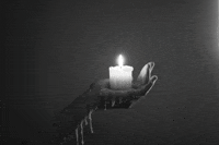 200w.gif