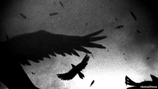 CROW SKIES.gif