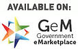 Registered seller on government electronic marketplace