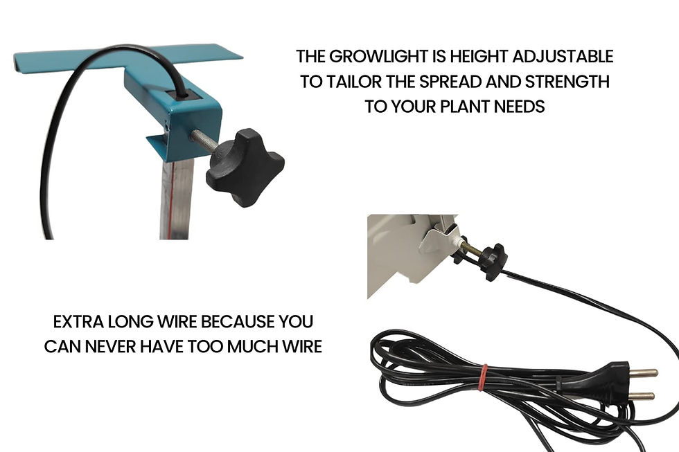 Thumbnail: Hydroponic Grow Kit for home components