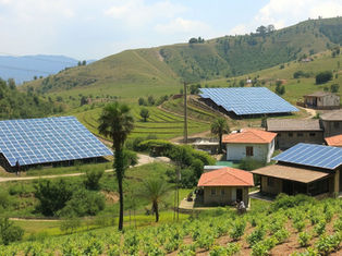 The Green Token Project: Revolutionizing Agrivoltaics with Subhash Palekar’s Natural Farming