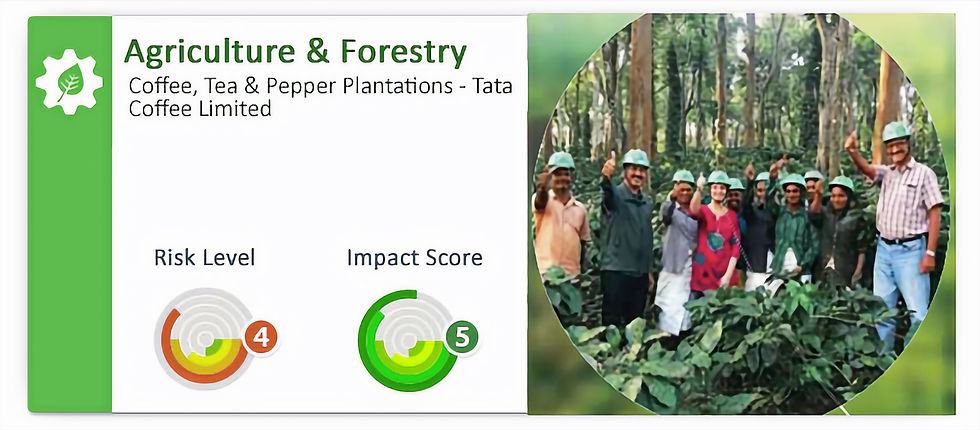 Impact Investment - Tata Coffee Limited