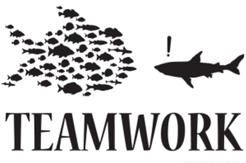 Teamwork