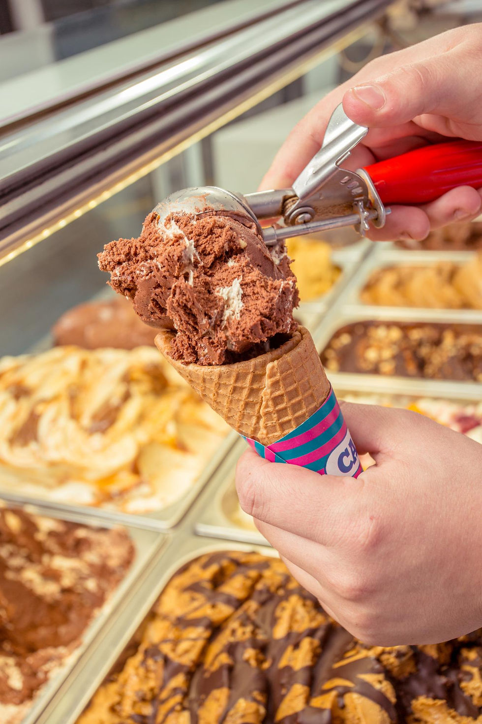 maquinaria para negocio de helados en Estados Unidos