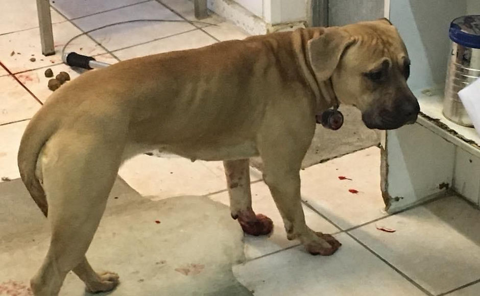 Photo de Marion(1).jpg