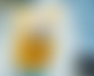 Item 89 - Capa de chuva para cachorro, capa de chuva à prova de vento.