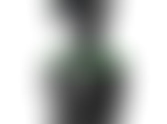 Item 117 - Insta360 link webcam 4k.