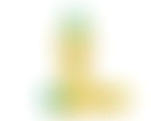 Item 112 - Garrafa squeeze taça copa do mundo 400ml.