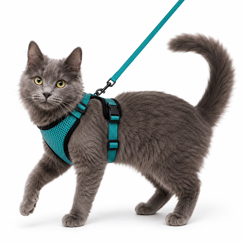 Thumbnail: AdventureFit Cat Harness Set - Escape-Proof Adjustable Harness & Leash 