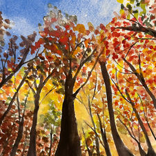 Trees from below