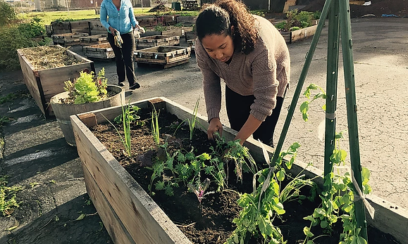 Ashland Cherryland Urban Greening Master