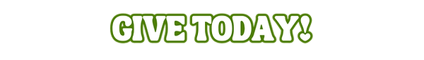 2026 Impact Visual - Website (8).png