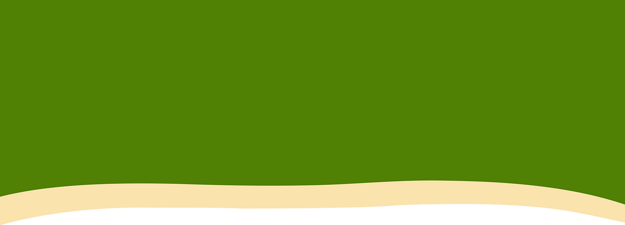 WebStrips-Bottom_greenYellow.png