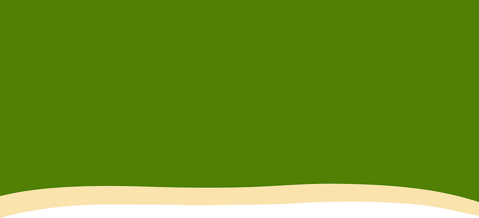 WebStrips-Bottom_greenYellow.png
