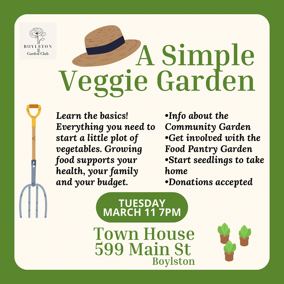 Basic Veggie Gardening