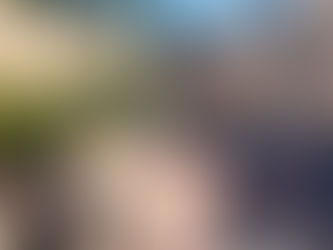 Fence Installation in Arroyo Grande CA Royal Gate and Fence CoR