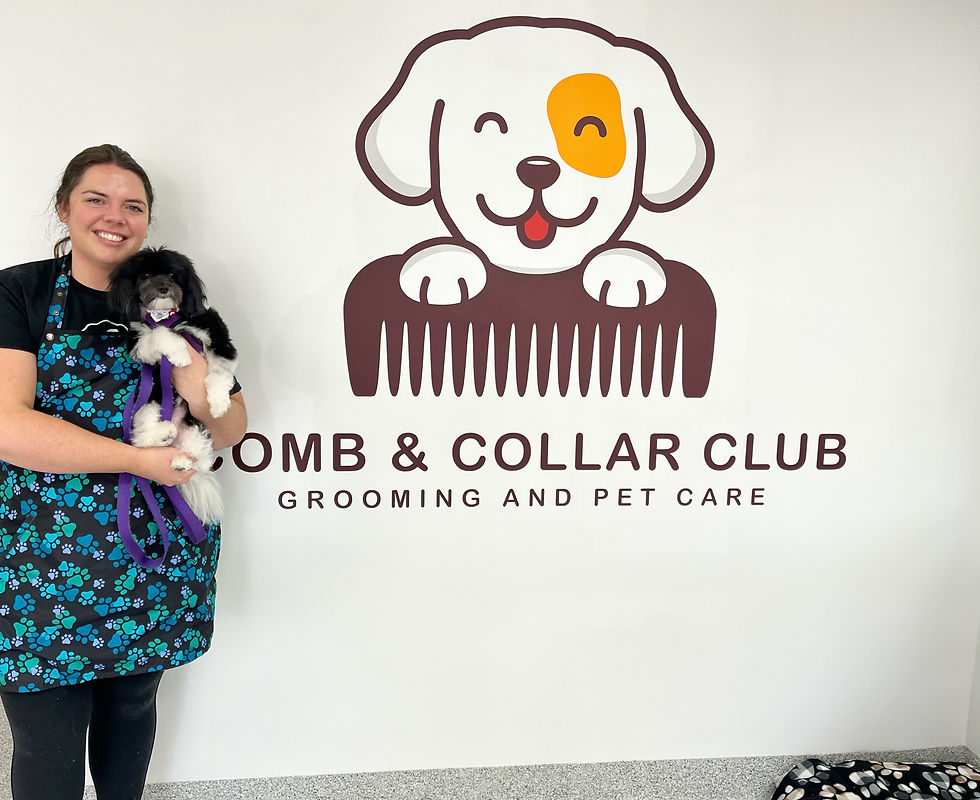 DC44055A-098C-489D-9B53-B193E192D152