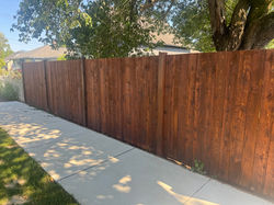 stained-cedar-privacy-fence-skagit-county-wa.jpg