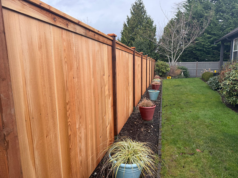 finished-cedar-fence-clean-yard-skagit-county-wa.jpg