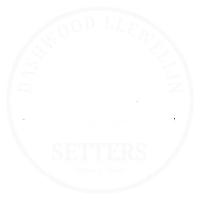 Dashwood-Llewellin-Setters-white.png
