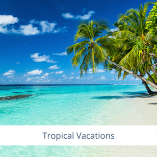 Tropical vacations, tropical getaways, beach vacation, hawaii, caribbean, mexico. Travel agents near me, Parker, Colorado, Aurora, Colorado, Denver, Castle Rock, 80134, 80138, travel agency, travel, vacation planner