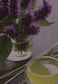 Artboard 29SCENT AMBIENCE SNIP 5.png