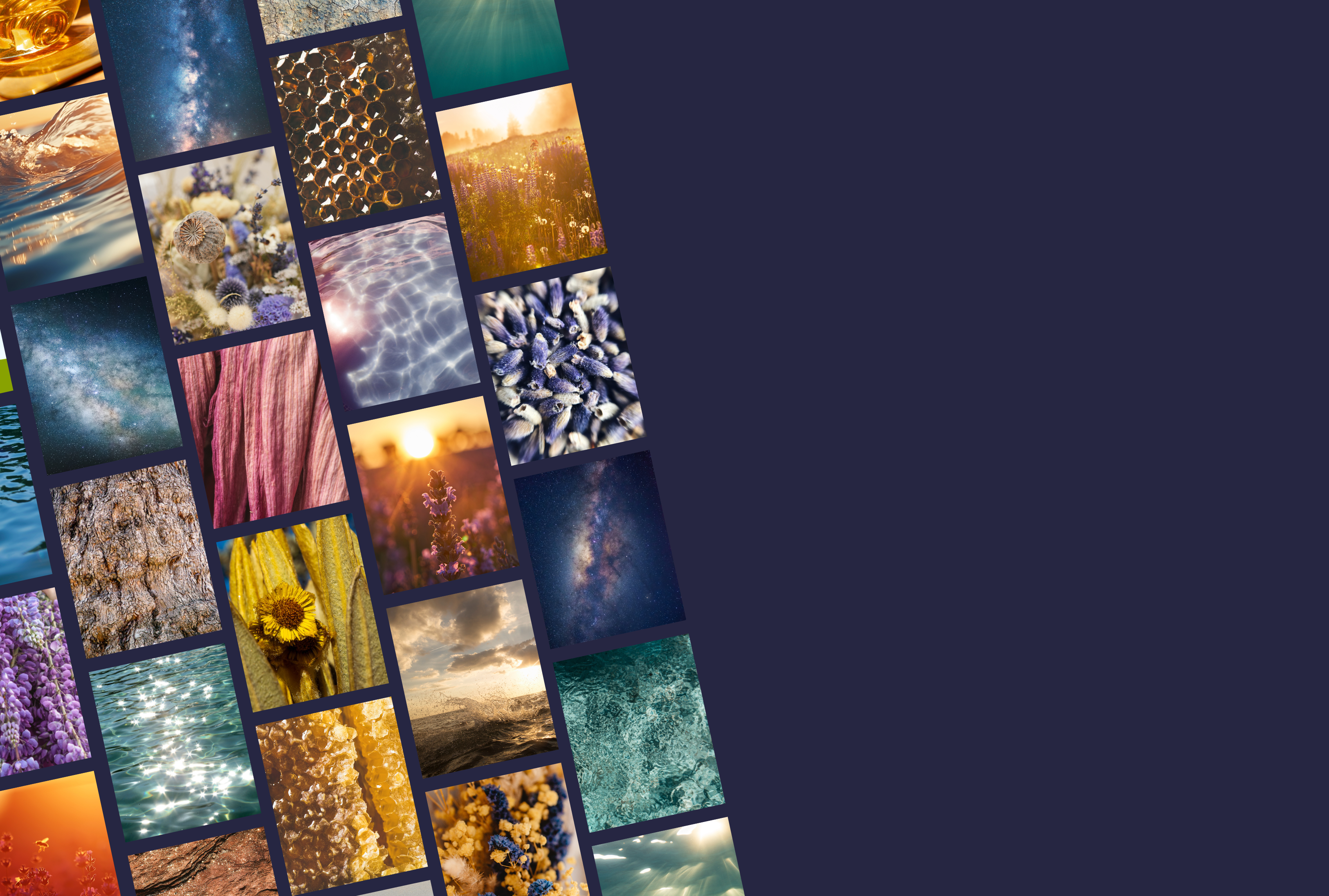 moodboard back v5.png