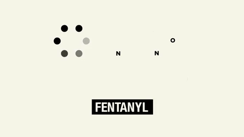 giphy (10).gif