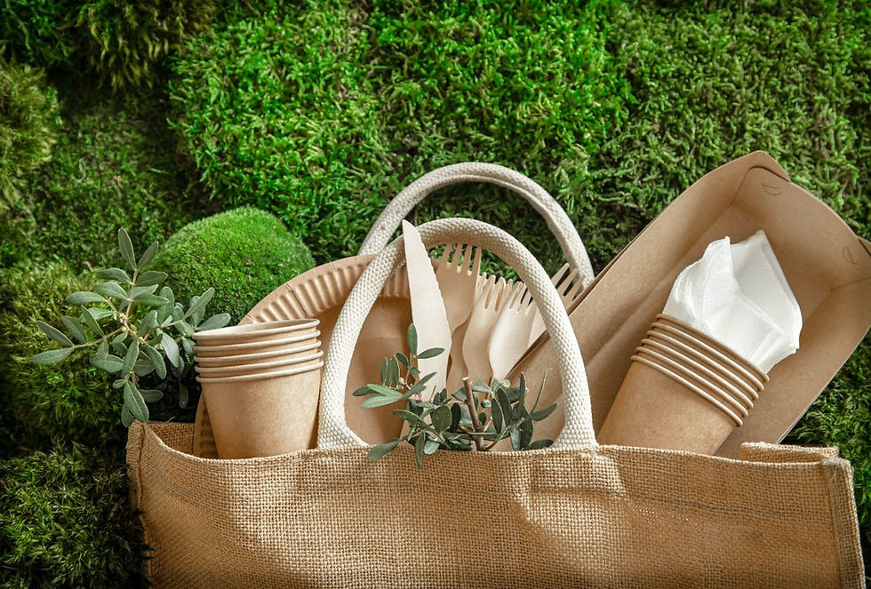 Why Biopolymer Innovation Is Becoming a Game-Changer for Packaging Businesses