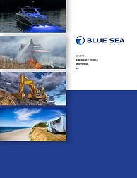 BlueSea 2025.png
