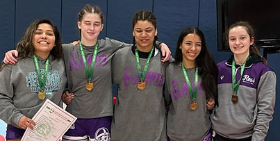 2023-2024 GIRLS WRESTLING - State Quailfiers.jpg
