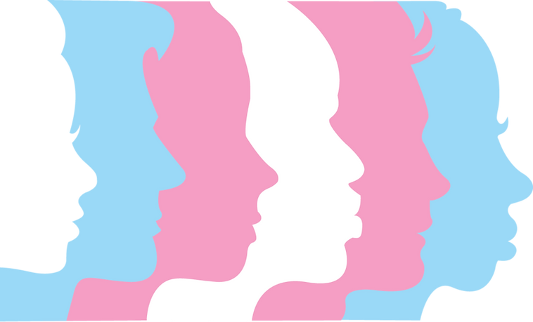 profiles.png