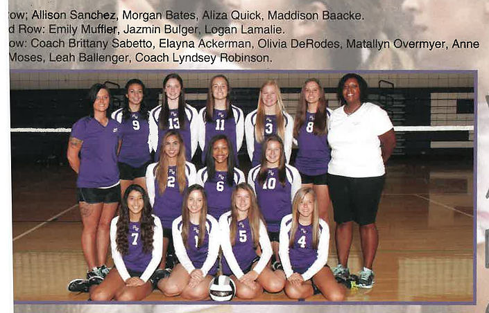 2015 volleyball team.jpg
