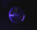 ree