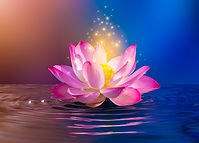 lotus Pink light purple floating light sparkle purple background.jpg