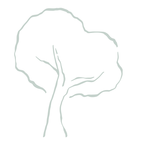 tree outline