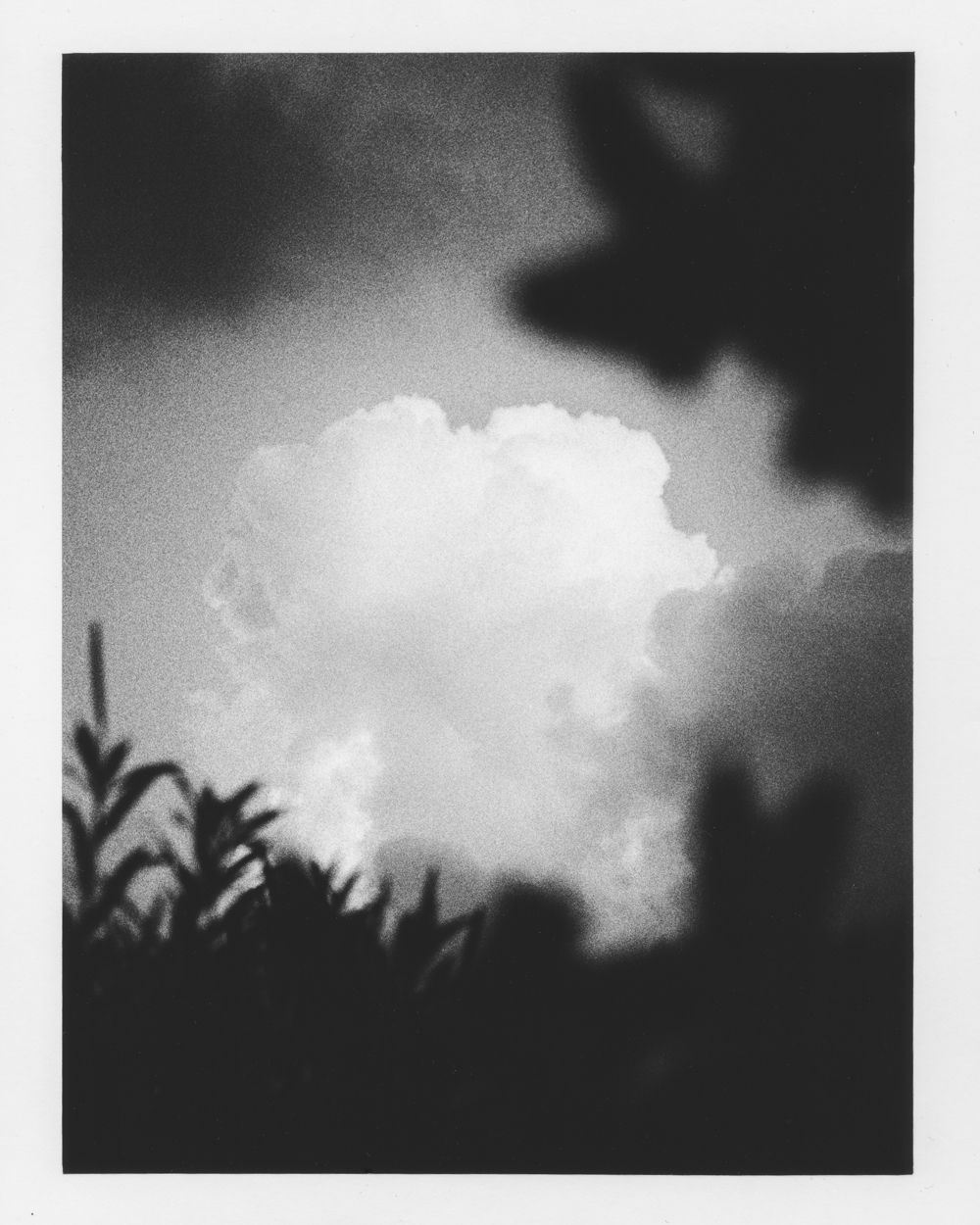 Nico-Wagner-Analog-Photography-Bonn-Köln-Darkroom-Print-Analoge-Fotografie--0001-10.jpg