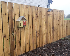 picket-fence-timber.jpg
