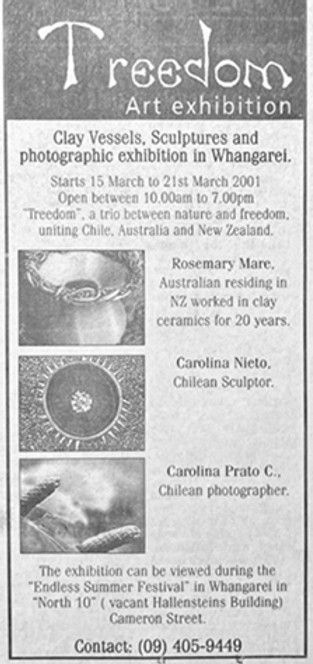 News paper article about exhibition Treedom 