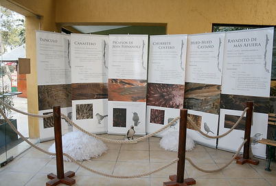 Zoológico Nacional De Chile Educational Tour, Photographic Exhibition Müpü Chülle