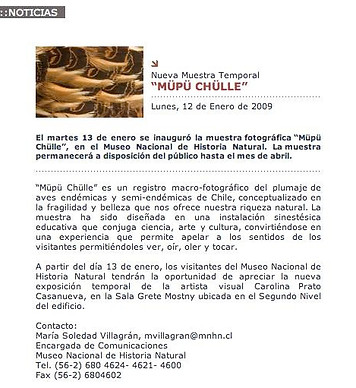 info about exhibition Müpü Chülle