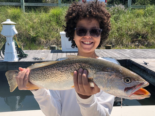 Monster Weakfish
