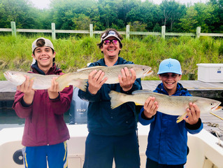 Two Trip Weakfish Limit