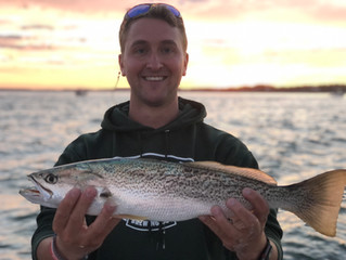 First Weakfish