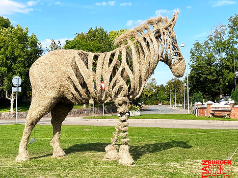 Sculpture en foin d'un zèbre de Christian Burger.jpg
